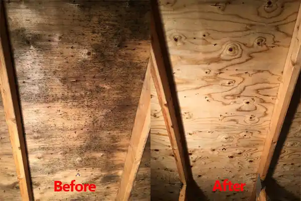 water damage restoration service Gates Mills